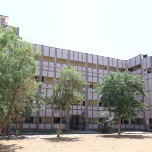 c13
